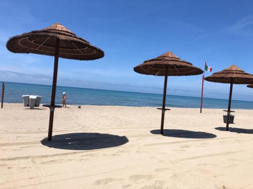 a group of straw umbrellas on the beach at Villa Severino Ferrari Anzio in Anzio