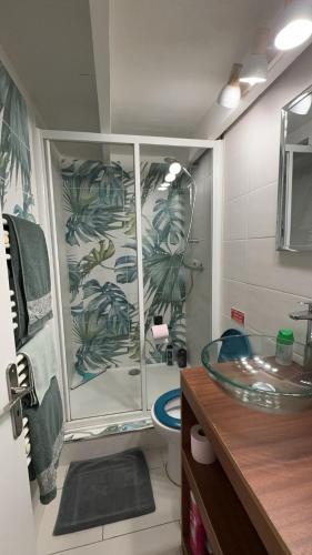 une salle de bain avec une douche, un lavabo et des toilettes dans l'établissement Duplex spagiari, à Nice