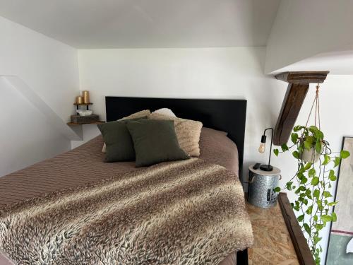 1 dormitorio con 1 cama con manta y planta en L'Orangerie en Clermont