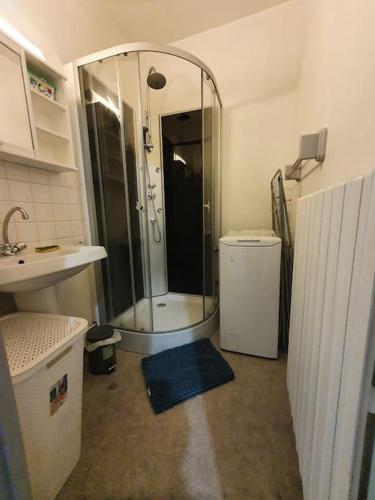 La petite salle de bains est pourvue d'une douche et d'un lavabo. dans l'établissement Appart T2 RDC clim wifi Issoudun, à Issoudun