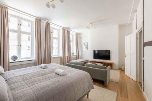 a bedroom with a bed and a couch and a tv at Stylish Apartment at Best Location in CPH by The Canals in Copenhagen