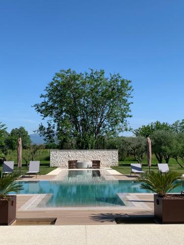 a swimming pool in a yard with chairs around it at Agriturismo Zapparè Farm Hotel in Trevignano