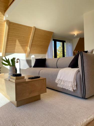 a living room with a couch and a coffee table at Cabana A-frame Cricov 9 in Valea Lungă-Ogrea