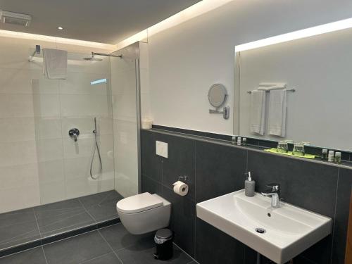 ein Badezimmer mit einem Waschbecken, einem WC und einem Spiegel in der Unterkunft Hotel Restaurant Moosmühle in Dietenhofen