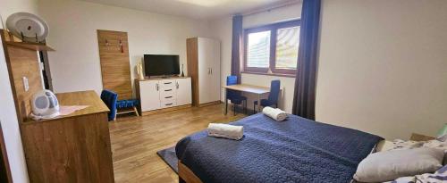a bedroom with a bed and a desk and a television at Ubytovanie Barborka in Krásnohorské Podhradie