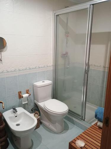a bathroom with a toilet and a shower and a sink at El Camarote de Beiramar in Cedeira