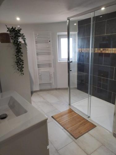 une salle de bain avec une douche avec une porte vitrée dans l'établissement Maison dans le luberon, à Viens