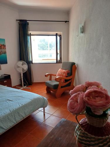 Appartment with swiming pool