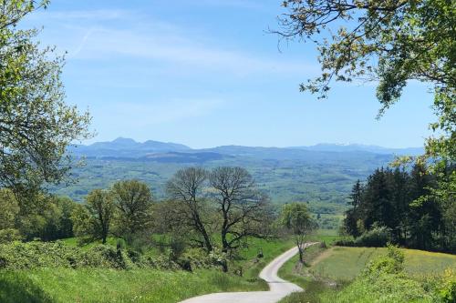 a winding road on a hill with trees at Gîte au Bray in Bellenaves