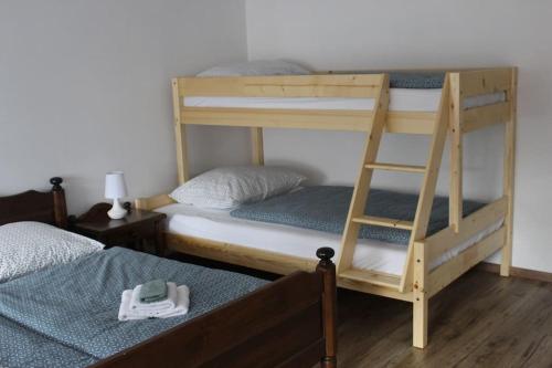 two bunk beds in a room with a ladder at Apartment Tela in Kobarid