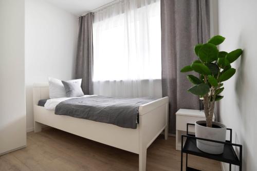 a white bedroom with a bed and a window at Apartments in the city center I private parking I home2share in Dortmund