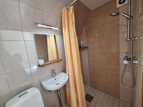 a bathroom with a toilet and a sink and a shower at Kraavi Guest Hostel in Kuressaare