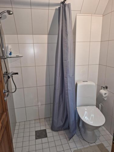 a bathroom with a toilet and a blue shower curtain at Kraavi Guest Hostel in Kuressaare