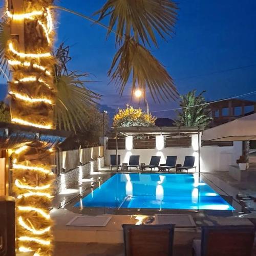Una piscina de noche con sillas y una palmera. en Vila Melisa, en Ksamil