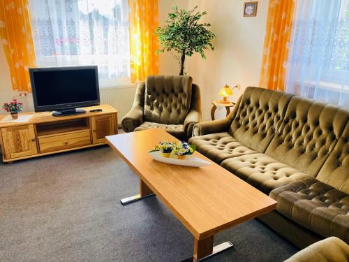 sala de estar con sofá, mesa y TV en Apartmány Horalka, en Liptovský Mikuláš