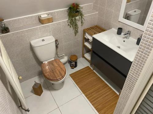 a bathroom with a toilet and a sink at Charmante maison à Troyes avec terrasse et jardin clôturé in Troyes