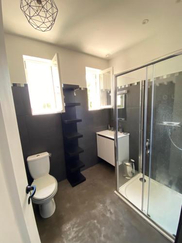 une salle de bain avec toilettes et douche en verre dans l'établissement R1D Les Pléiades de l'Estérel - Agay, à Agay