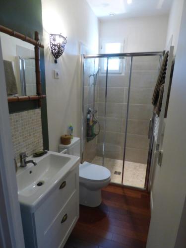 une salle de bain avec une douche, des toilettes et un lavabo dans l'établissement chambre d'hôte chez Suzel, à Sussargues