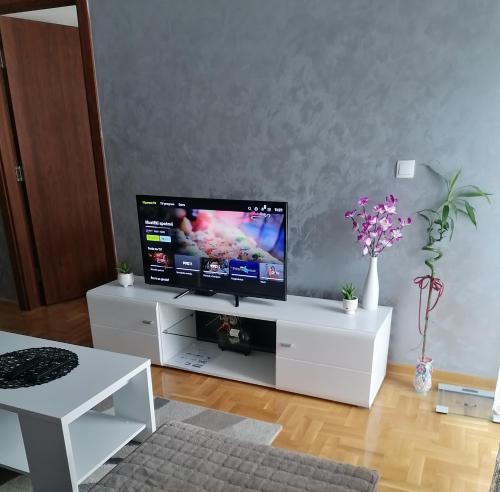 TV a/nebo společenská místnost v ubytování Apartman Zapadni Kej Pirot