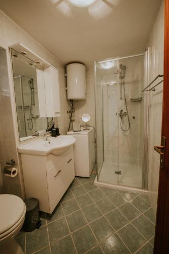 a bathroom with a shower and a sink and a toilet at Holiday home VITAS in Bakar