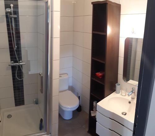 une salle de bain avec toilettes, lavabo et douche dans l'établissement Maison de ville, Piscine, terrasse et jardin privé, à Bayonne