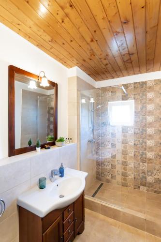 a bathroom with a sink and a shower at Dinvis Apartments in Poiana Brasov