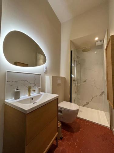 une salle de bain avec un lavabo, des toilettes et un miroir dans l'établissement Splendide T2 au coeur d'Aix et du Cours Mirabeau, à Aix-en-Provence