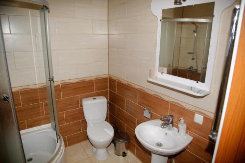 a bathroom with a toilet and a sink and a mirror at Mini-hotel Yandrusi in Kamianets-Podilskyi