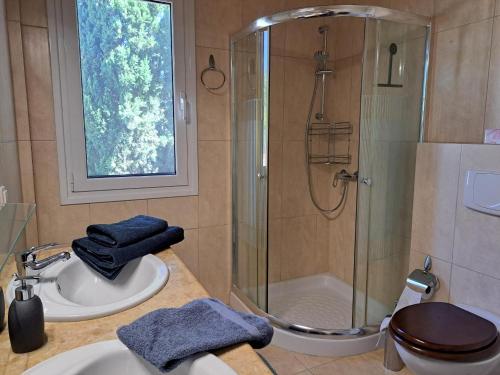 a bathroom with a shower and a sink and a toilet at Villa Emilios in Lakhanádha