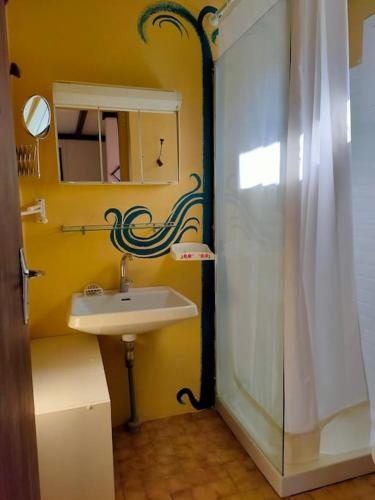 une salle de bain avec un lavabo, un miroir et une douche dans l'établissement Appartement dans maison individuelle, à Recoubeau-Jansac