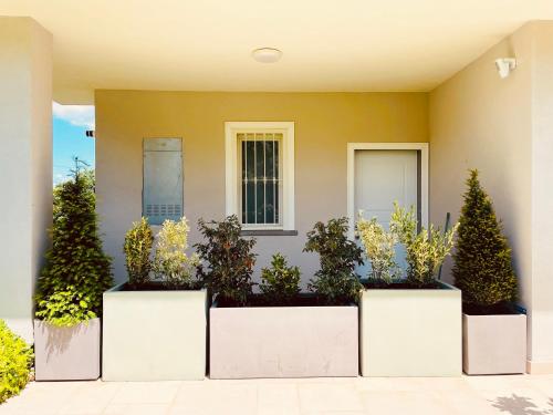 a group of potted plants in front of a house at Appartamento in villa in Viterbo