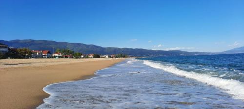a beach with the ocean and the shoreline at Apollon Luxury Rooms in Nea Vrasna