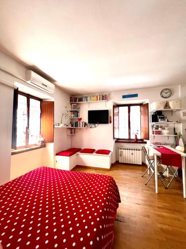Lovely studio near the Colosseum