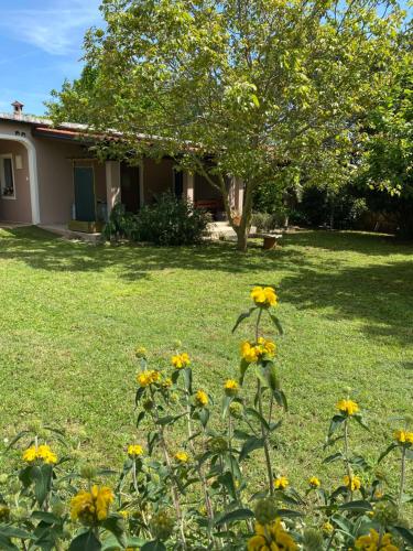 Un jardín fuera de Apartman "Almond house 2"