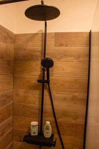 La salle de bains est pourvue d'une douche et d'un mur en bois. dans l'établissement Appartement - terrasse - Cugnaux centre, à Cugnaux