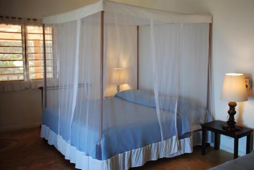 a bedroom with a canopy bed and a window at Villa Palissandre in Nosy Be