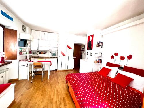 Lovely studio near the Colosseum