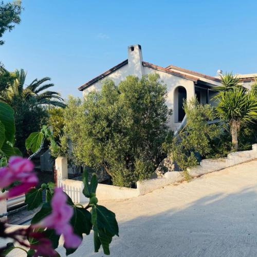 Κήπος έξω από το Sylvia's house at Vagia