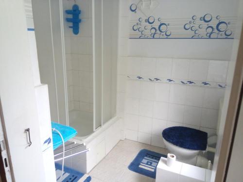 a small bathroom with a toilet and a shower at Pension Heike in Schönebeck