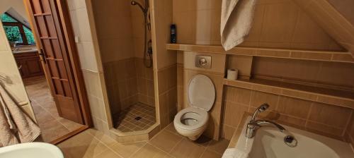 a small bathroom with a toilet and a shower at Parrot district apartments in Nové Zámky
