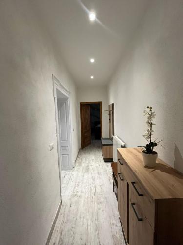 Una habitación vacía con un pasillo con una mesa y una planta. en Lia House, en Brasov