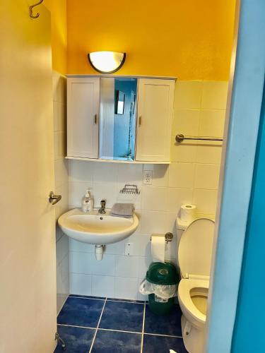 a bathroom with a sink and a toilet at Marazul Dive Resort-Panoramic Ocean View Town Home in Westpunt