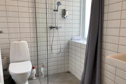 a bathroom with a shower with a toilet and a sink at Harbour Walk in Sønderborg