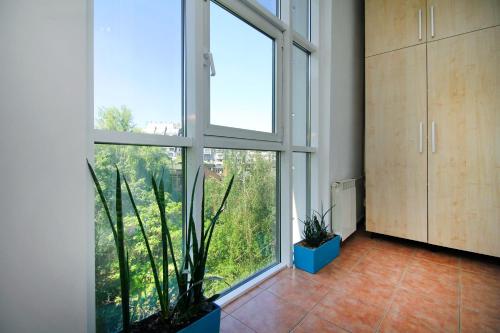 Κήπος έξω από το Рапсодия