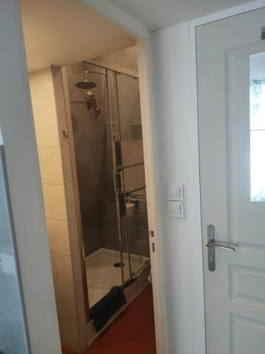 une salle de bain avec une douche avec une porte vitrée dans l'établissement Bienvenue sur la Cote d'Azur, à Nice