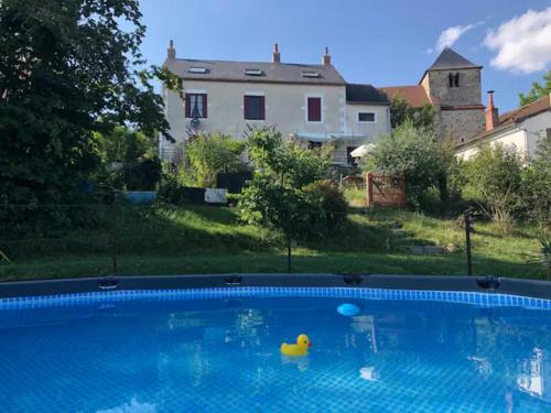 a rubber duck in a swimming pool in a yard at Manoir BnBurgundy in Lanty