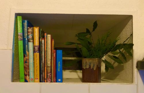 a book shelf with books and a potted plant at Manoir BnBurgundy in Lanty