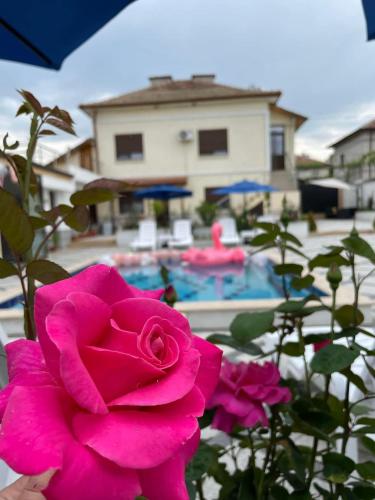 Πισίνα στο ή κοντά στο Boris House 5 bed Villa & Private Pool