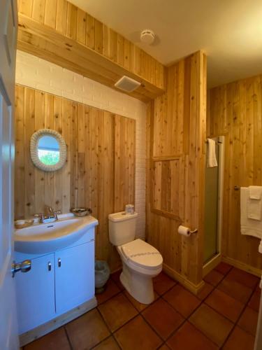 a bathroom with a toilet and a sink at Maison Gauthier in Tadoussac