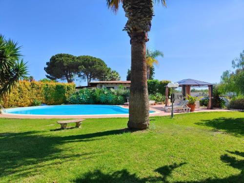 uma palmeira num quintal ao lado de uma piscina em Villa Alfonsa, Fontane Bianche, Siracusa, PRIVATE POOL, 10min from the beach em Fontane Bianche